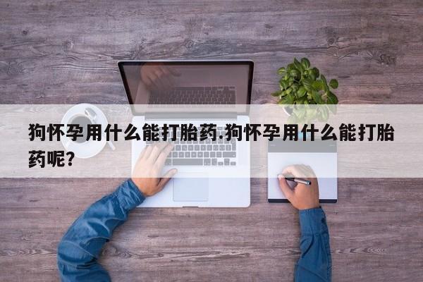米非米索购买方式狗怀孕用什么能打胎药.狗怀孕用什么能打胎药呢？