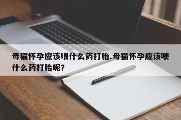 米非米索购买方式母猫怀孕应该喂什么药打胎.母猫怀孕应该喂什么药打胎呢？