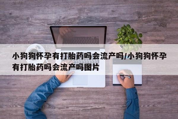 米非米索购买方式小狗狗怀孕有打胎药吗会流产吗/小狗狗怀孕有打胎药吗会流产吗图片