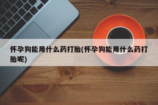 米非米索购买方式怀孕狗能用什么药打胎(怀孕狗能用什么药打胎呢)